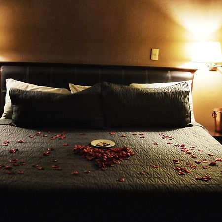 Hotel Flamingo Kristal อิลาพัวโต ภายนอก รูปภาพ
